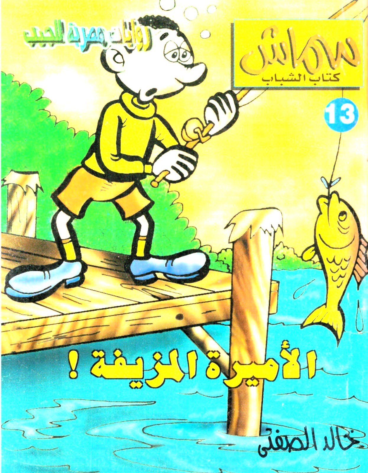 سماش 13